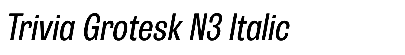 Trivia Grotesk N3 Italic